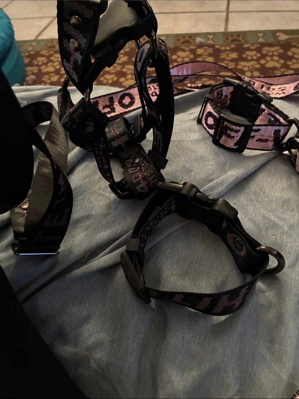 2xsmall, one small off white
Leash, collar, step in double clamp harness - Picture 5 of 5